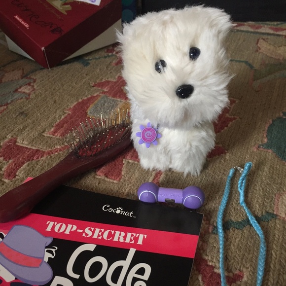 coco american girl dog